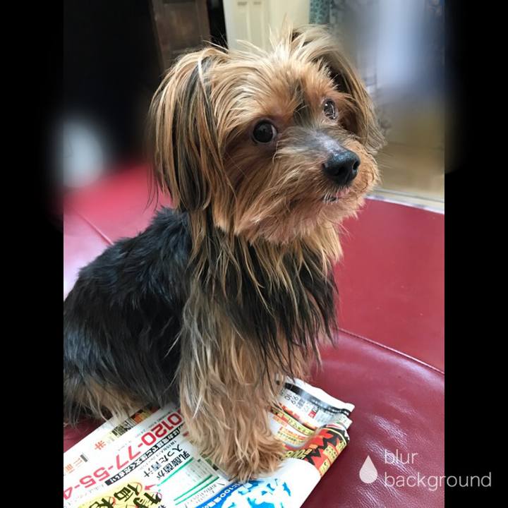 5978cdb9 a68c 4c57 af57 3f57ef1c9e9c 1531699230248