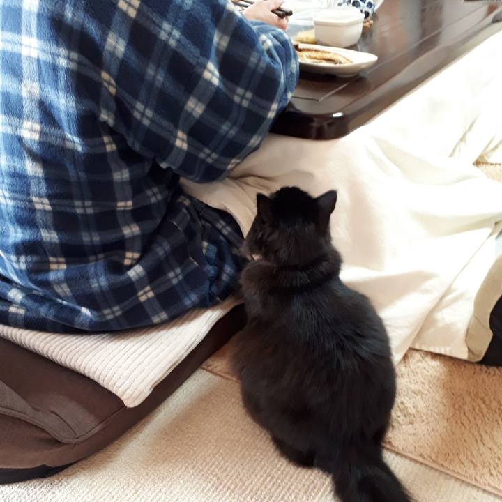 59790c1a 84df 45c4 a039 ca4f01426edf 1518481151797