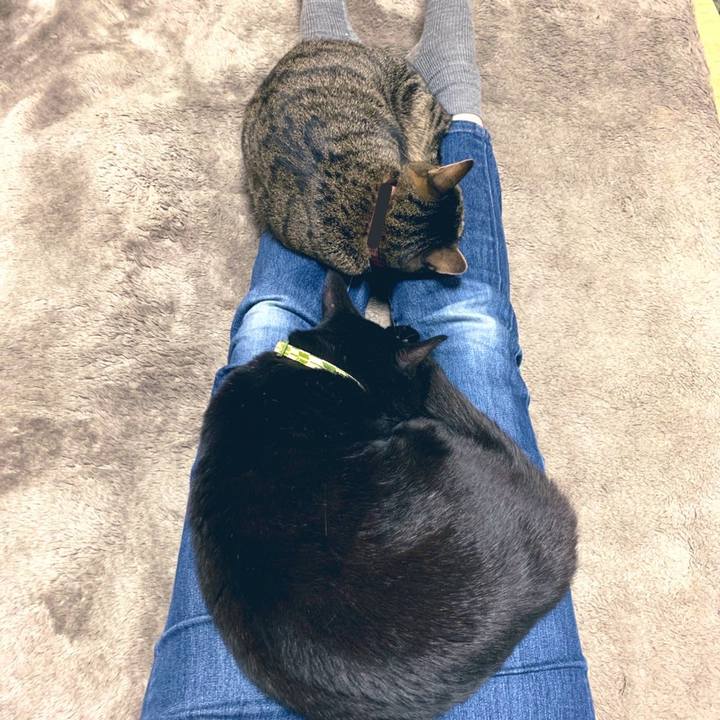 59791158 3a99 4a90 81d8 07cc34419c1d 1572337575956