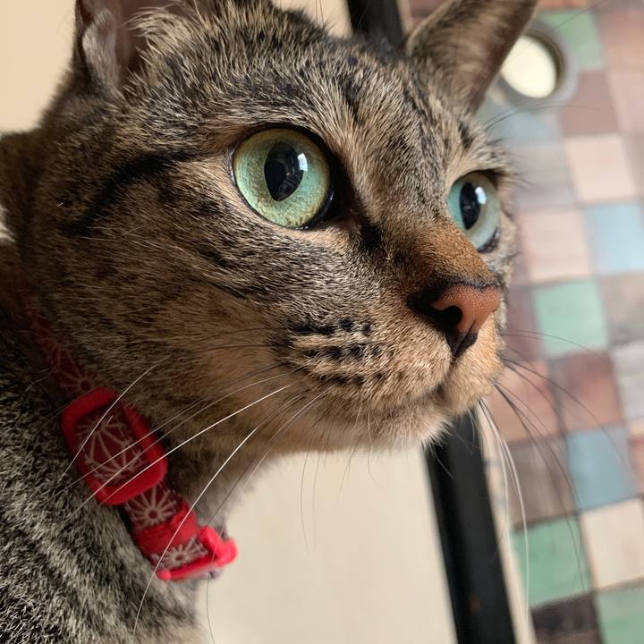 59794a3b e4c7 4291 9379 9aa47383a645 1564536853223