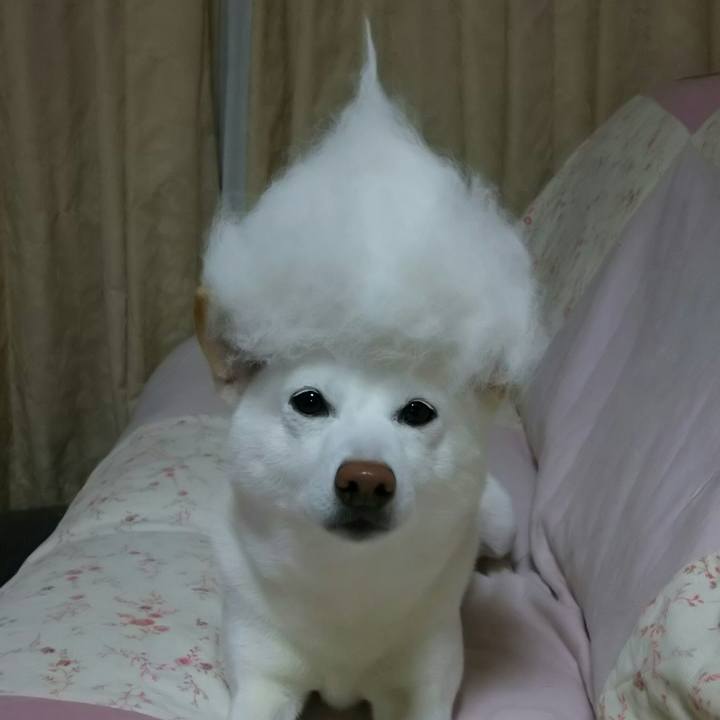 5979522b 3700 46b5 8339 0449140dec8e 1521117881884