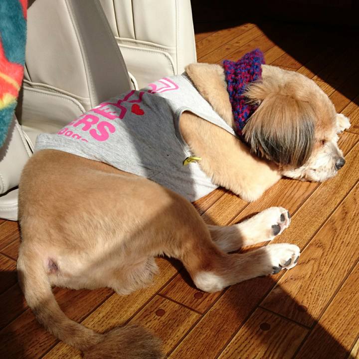 5979553c 464b 42f4 aab4 d9fdf0400e6a 1518918772629