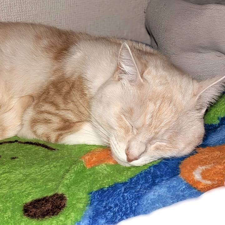 597981ec 9bfc 4ef3 b75c fa5633efab34 1701885274885