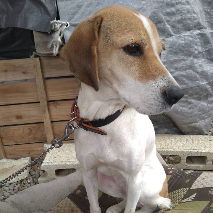 597987eb 37de 4e5d 86e7 74034a49675d 1640146848070