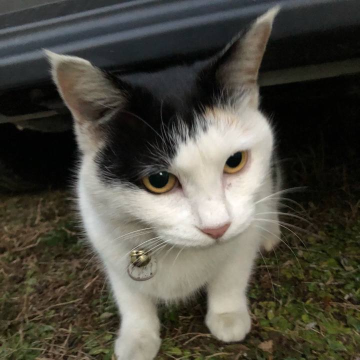 5979a5b2 b352 44df b7d7 cc94e2065349 1611526141344