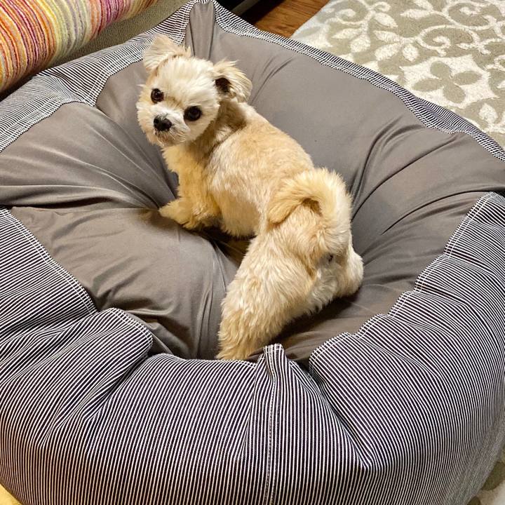 5979c90a 99db 4b69 b001 68d258bfd8f6 1572438923100