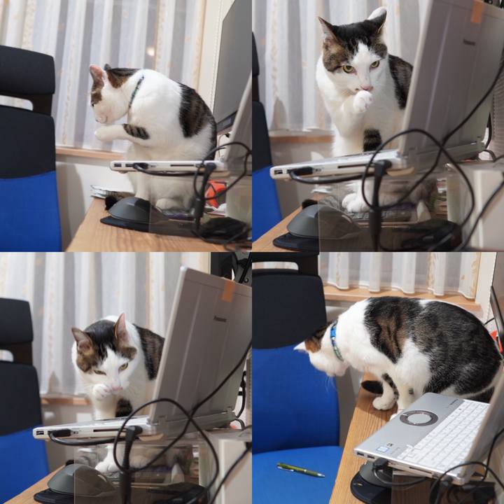 5979cb6d fc30 447d b17d c4b9351d9765 1591277305469