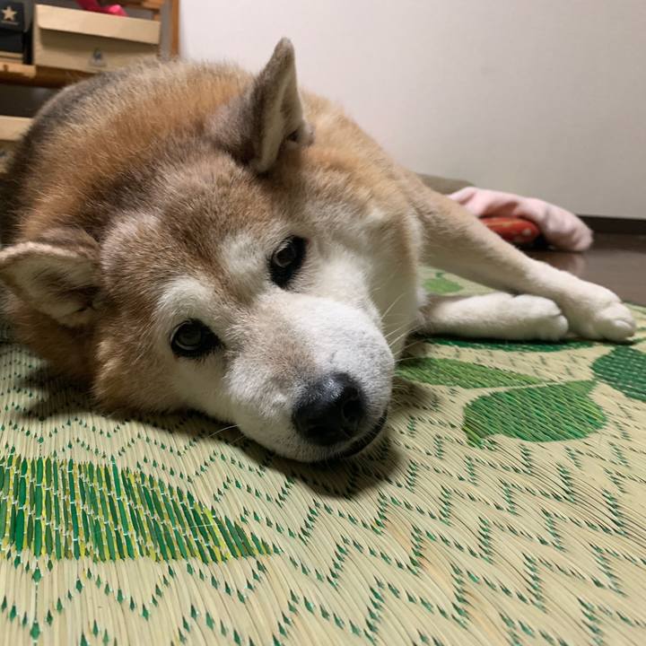 5979e60a 5a81 4308 928e c500e867231e 1623595130020