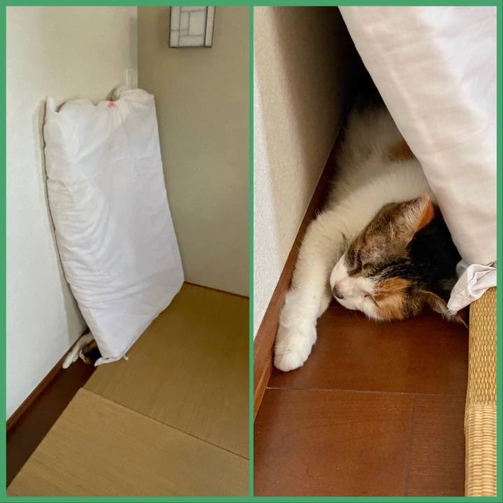 597a43f0 57e8 4166 b445 1a1e9bab057e 1663138835305