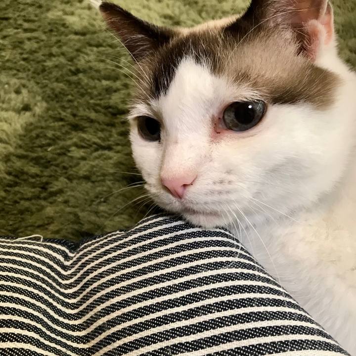 597a47d7 442a 49fc a282 64fb62357b84 1600138541938