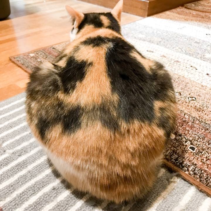 597a4bd4 8234 4132 837e 32d8dc651d85 1525703558633