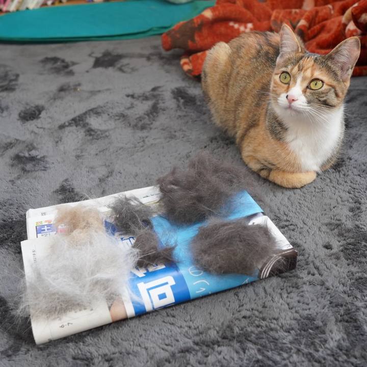 597a4db4 a6ef 4b17 9256 2b09403a7a25 1584875293652