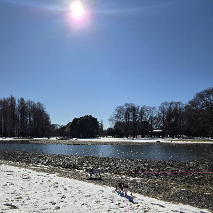 597a757c 4306 4311 91d1 3c7e5f630e2c 1767412092134