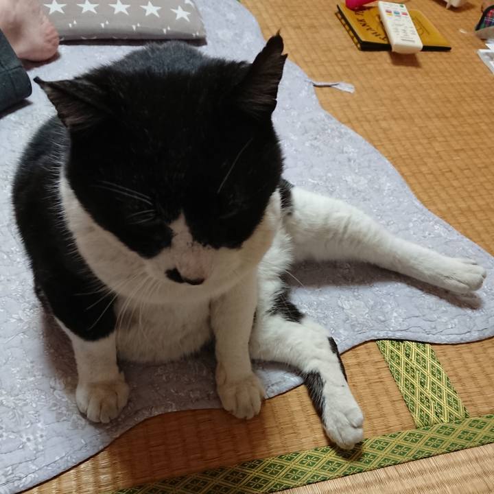 597a800f b40c 442c a56a bb7f3182fc91 1643699329879