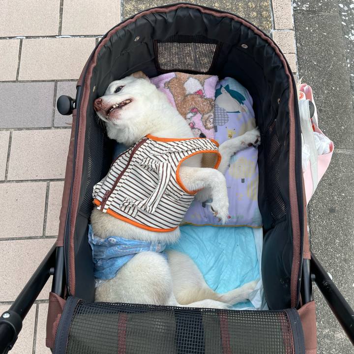 597a90c3 10c6 4880 bb01 d3a5d1b855fa 1658328814170