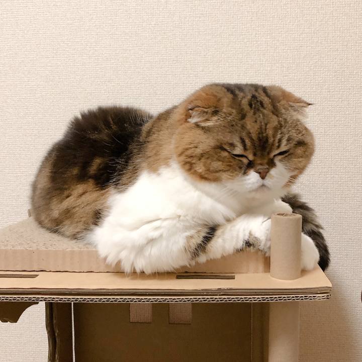 597aabba 1c0c 47c9 bca9 ac88c40912bb 1600616684130