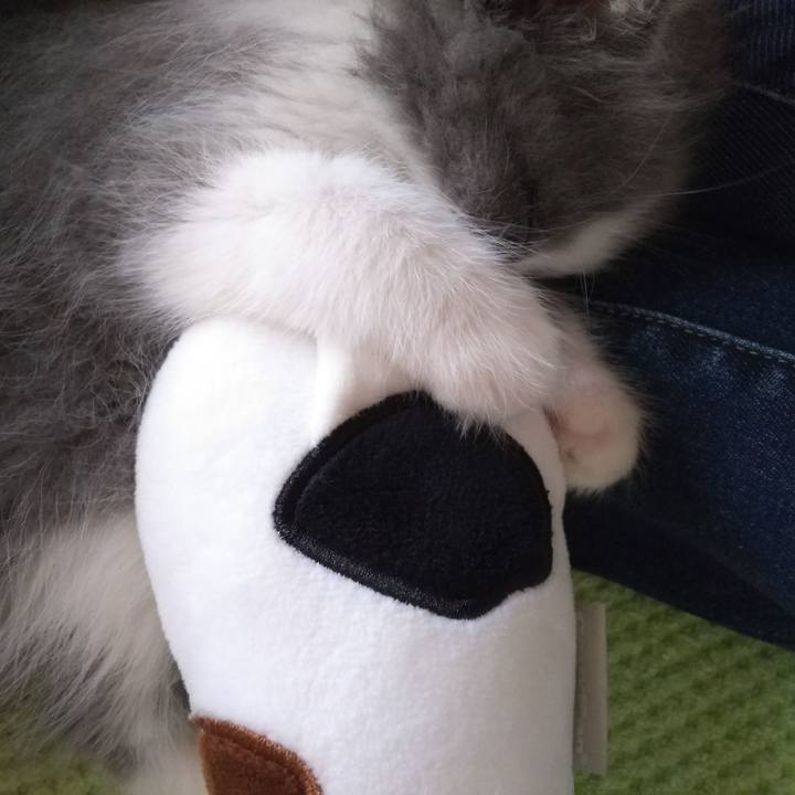 597ac8e0 abe1 4324 9c12 b9b73b64d085 1559793607962