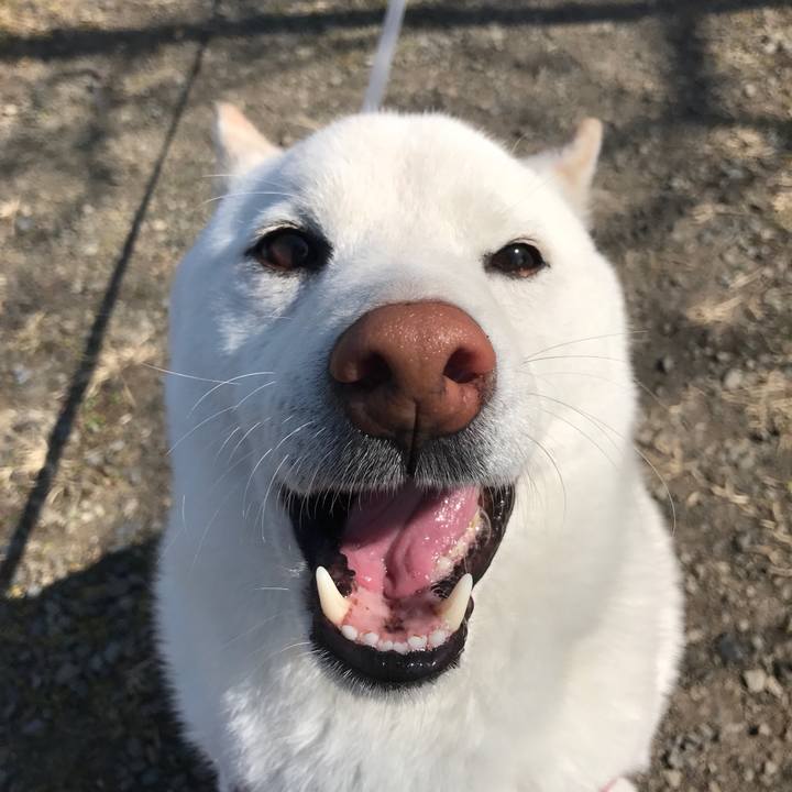 597af6dc b446 44a0 806c 5cfdb25e2981 1520136566854