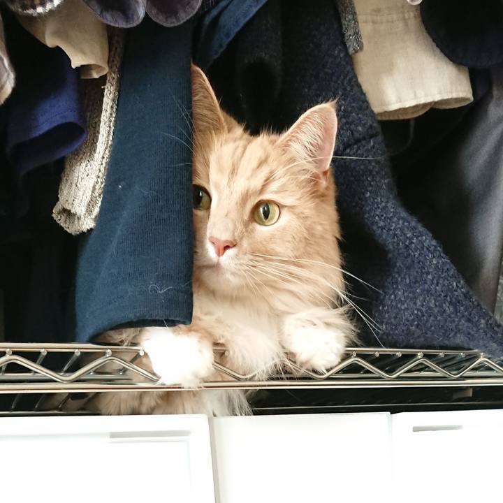 597b3037 c92f 4a6e 8bb3 53c5574dc1e7 1546174369306