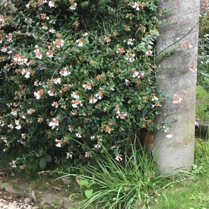 597b311d 7e28 4484 98f9 f078ec3024d3 1562630328497