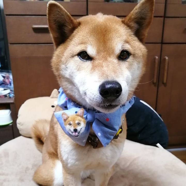 597b6fd4 4a1d 4e9c 813f bed9582d93fe 1585563008056