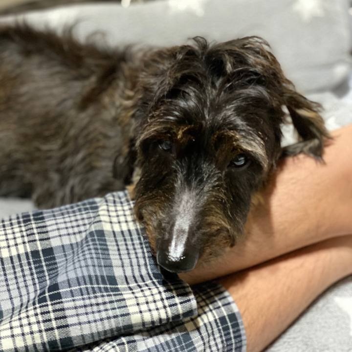 597bb8e7 b031 4b3a b20f 390d82dbac83 1574694828764