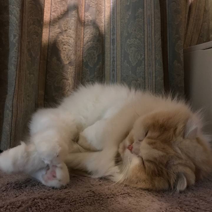 597bbfe9 4a67 43fe 80d5 e76881e5879a 1512915056109