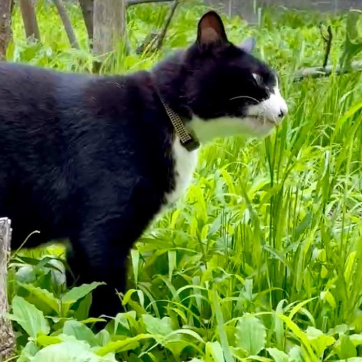 597bcd37 e40d 40e2 be32 0885302feec1 1750490755108