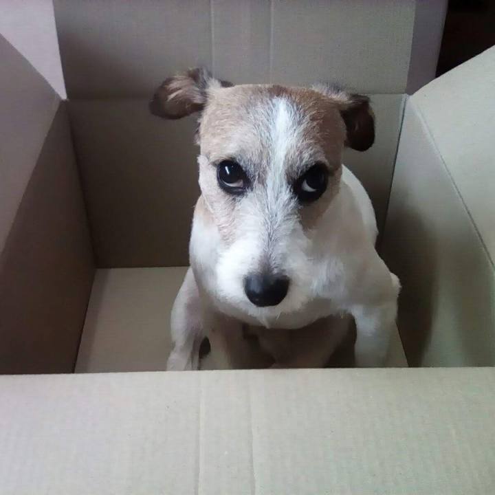 597bf7e7 cdab 4821 ba93 3a7c3e699e87 1541672808402