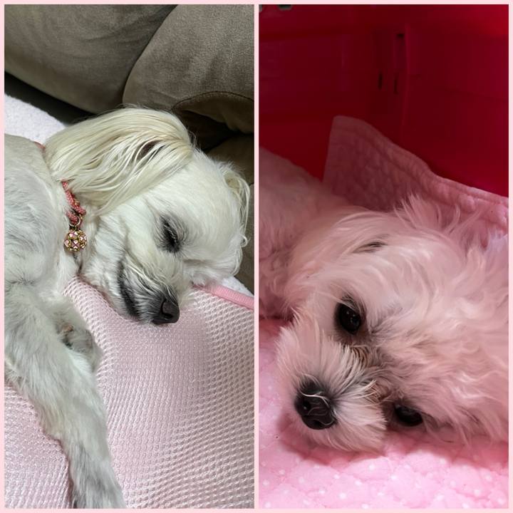 597c14e8 0dd3 4227 9a2f da35706292b8 1721388391833