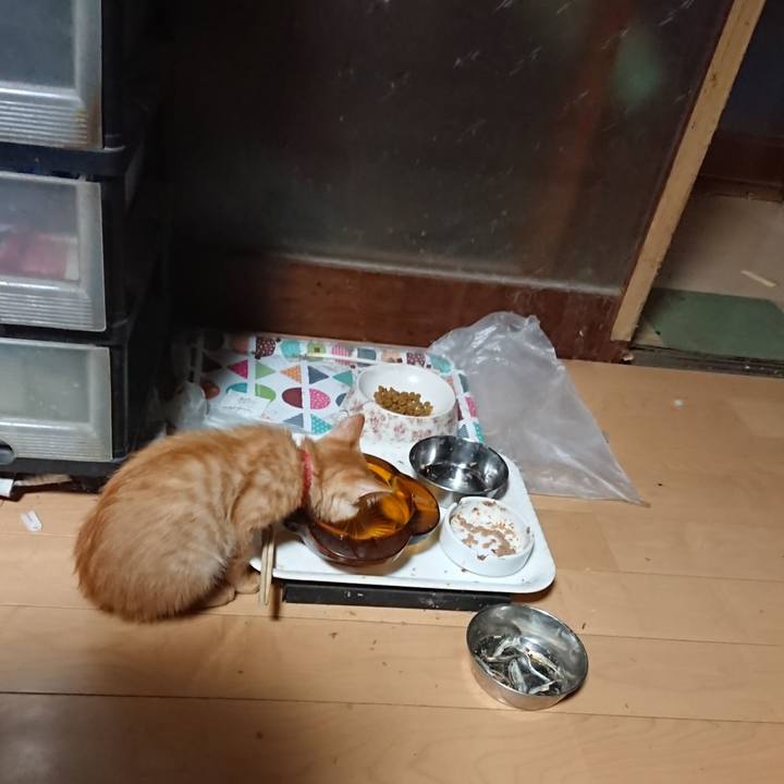 597c2d14 2a5d 4684 85d3 5dd09804f8a0 1630876488805