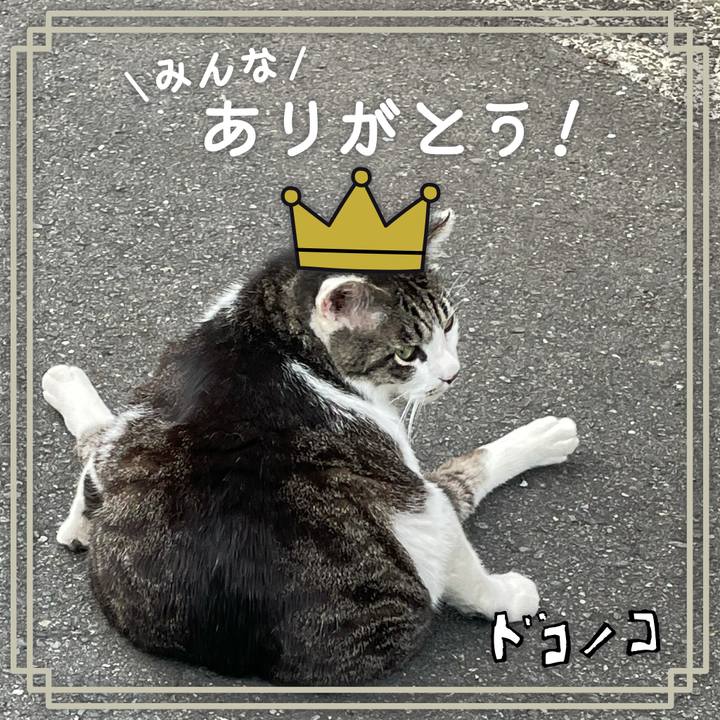 597c3757 6db4 46f3 ad1b ebf6b83172e9 1622885635772