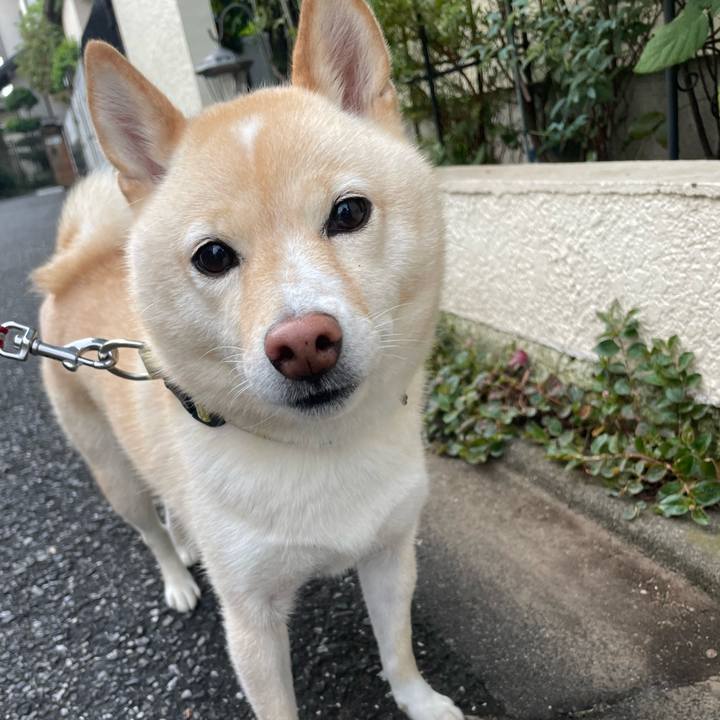 597c39fc b0a6 4fed b236 c230f1823d6a 1665272682612