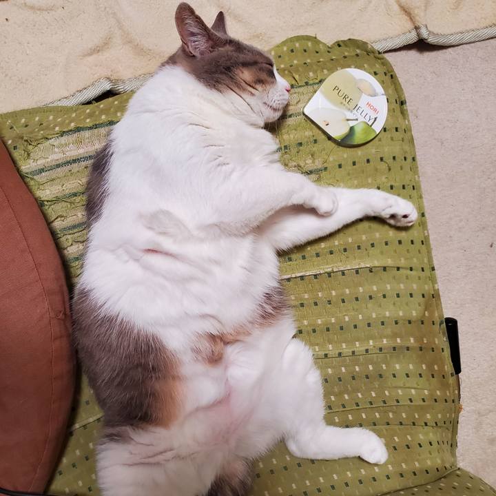 597c3e43 55da 4c9c a9e7 2f9084270894 1705891014887