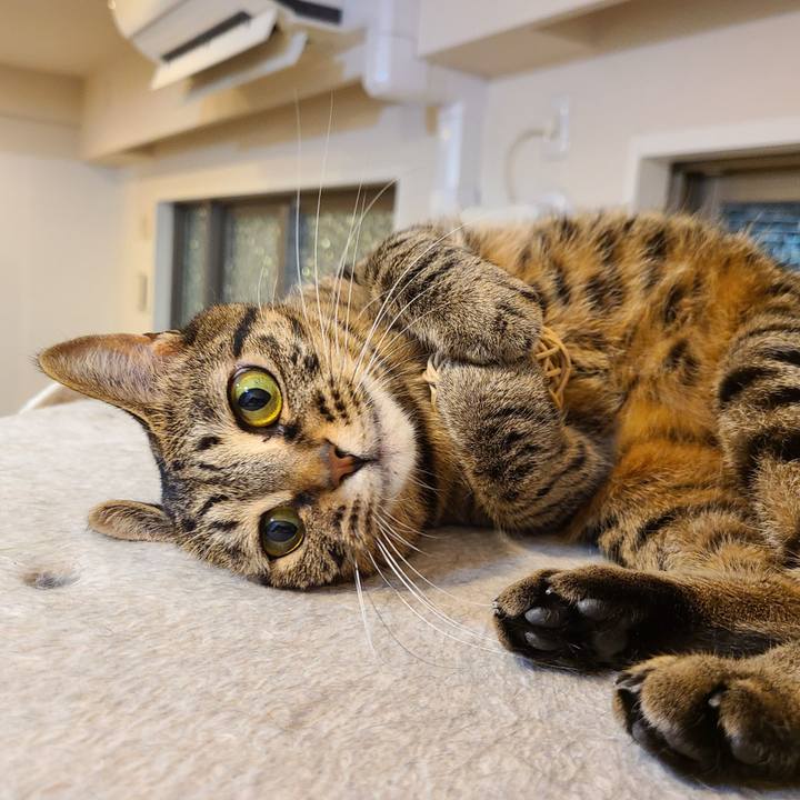 597c523c 4511 4b02 af6b 4afb6aba26d0 1606231606059