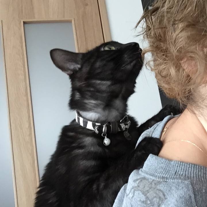 597c5313 ac83 4529 bb30 8684d495d507 1513686784759