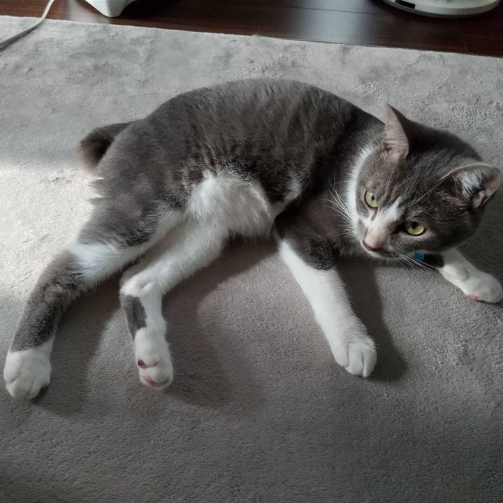 597c69fe 8943 4301 b3c0 5aa142248f09 1598050153326