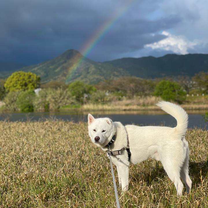 597c70a3 b7b8 45f9 81c7 62e09a56486c 1744669370409