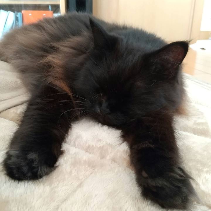 597c7a8f 6cb3 4f0b ad33 93d656d0abe7 1637367683058