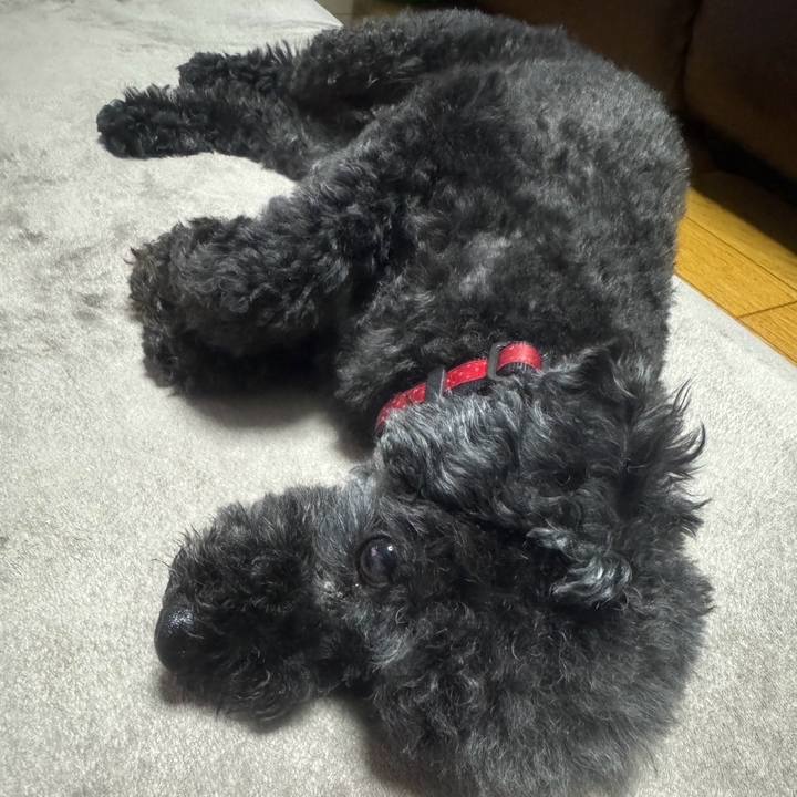 597c8609 62a8 4219 af69 e3c19d6713b7 1717671031485