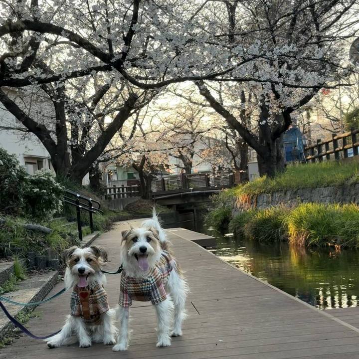 597c8e35 4d66 4b4c afb0 c926d505dfe7 1774258796163