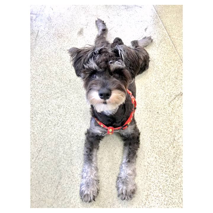 597ca9a2 84aa 4af9 97f2 609e39f7a9cf 1542816044155