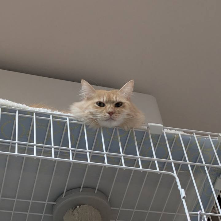 597cc69e 9e19 4633 bc13 9ee843072465 1735251947337