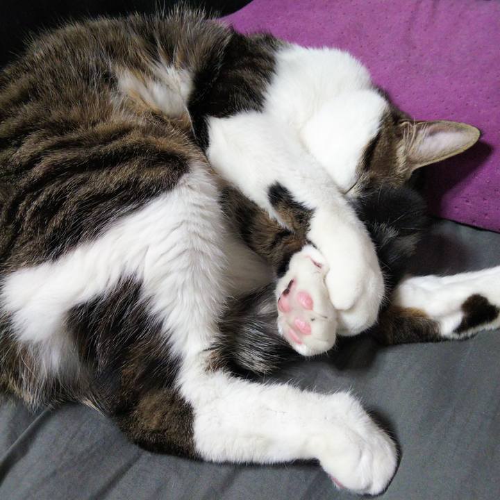 597ccac4 8f8b 41b0 af89 00a5ee3a7922 1641557234304