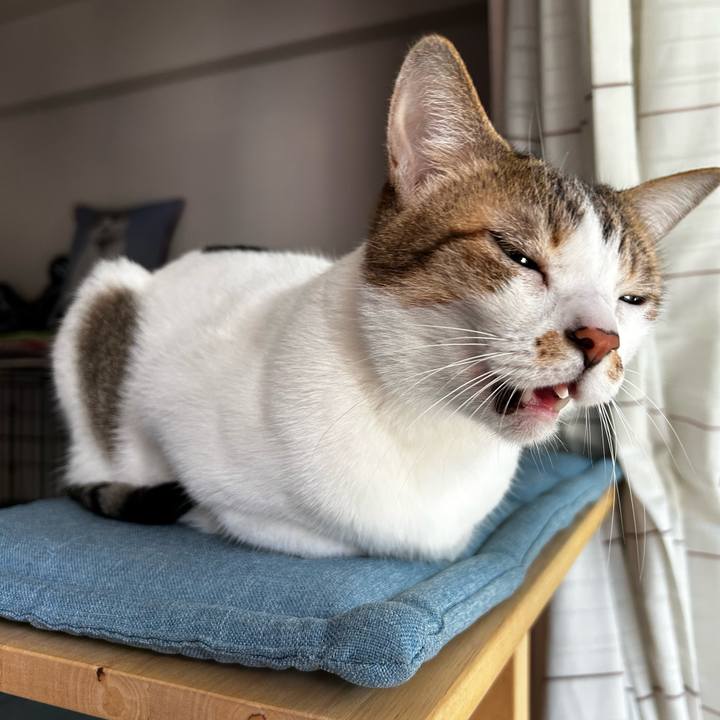 597cdacc 7845 4be4 904d ab1cc810ef83 1758767844848