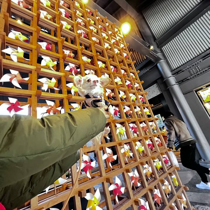 597cf6b6 f56a 47e8 8ef4 dc27fd04098d 1672475759724