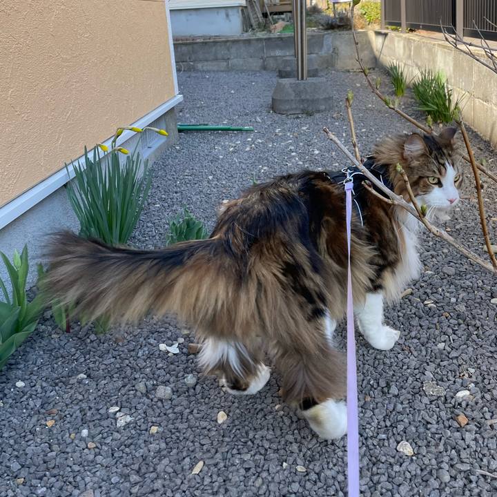 597d1823 f7e1 4d19 a604 a406c271e151 1680335877318