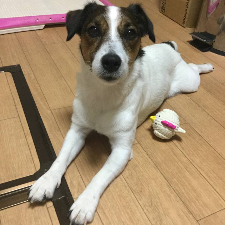 597d7409 30b9 404c be41 f74f8f19a5d1 1531477893269