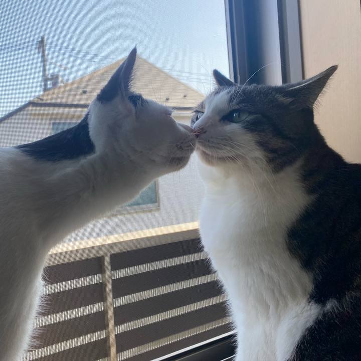 597dc3f1 6281 4720 9620 cffd08e69083 1676172551746