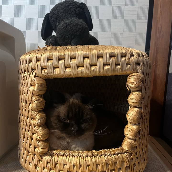 597dfcdf 34d8 4dbd a03d 7549084cbc66 1685097209901